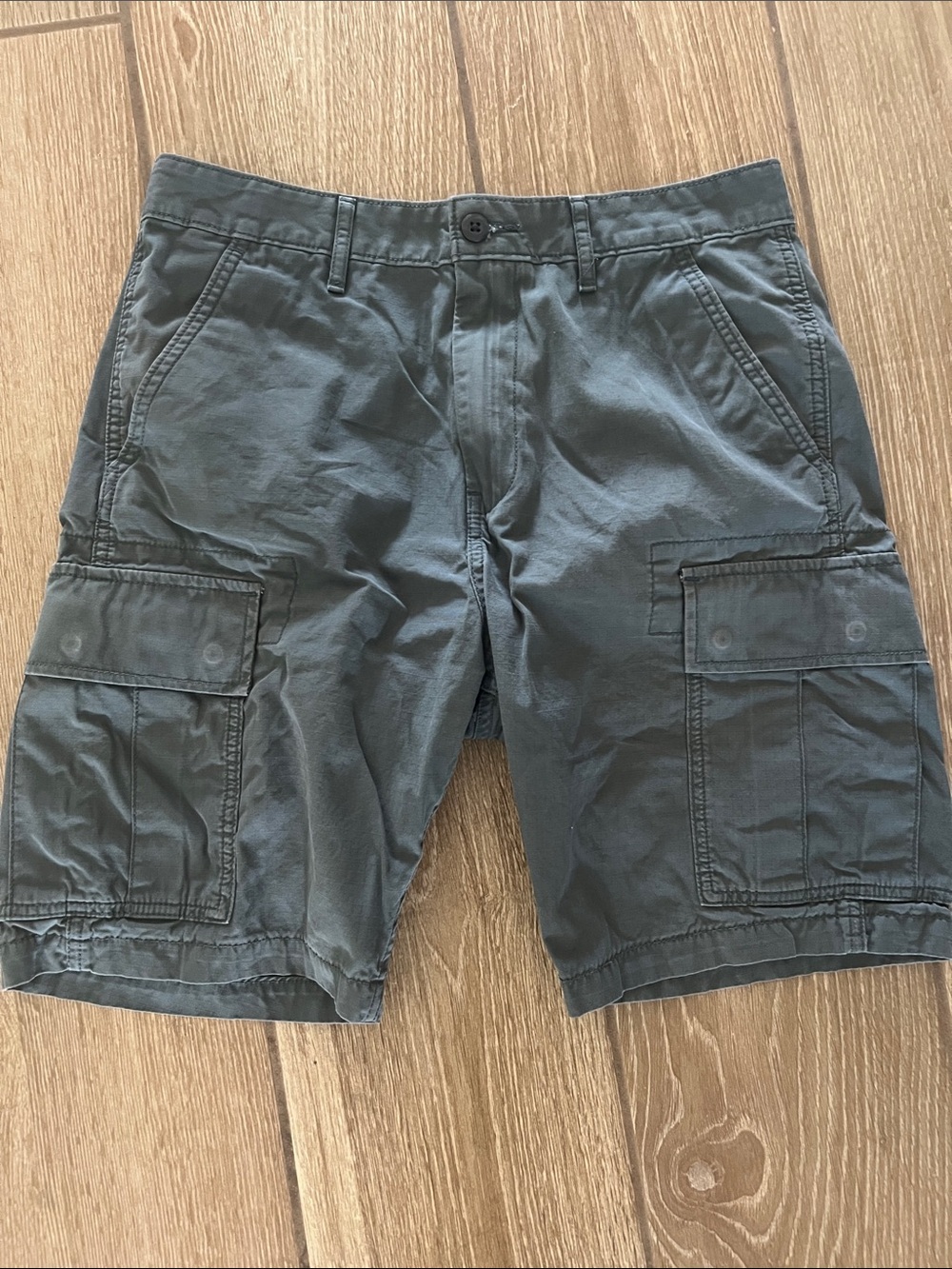 Levi's Men's Cargo Shorts - Slate Blue